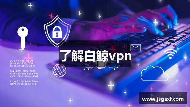 了解白鲸vpn